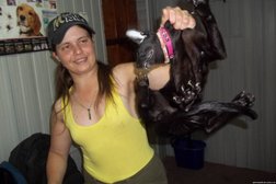 Ветеринарная клиника Persanator, с рейтингом 4.6 - находится по адресу Владимир, улица Дружбы, 45 