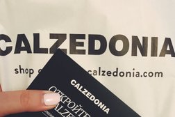 Фирменный магазин колготок Calzedonia, с рейтингом 5 - находится по адресу Владимир, Тракторная улица, 45 