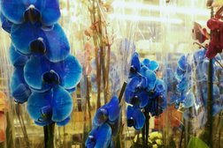 Metro, с рейтингом 3.6 - находится по адресу Воронеж, улица Остужева, 56 