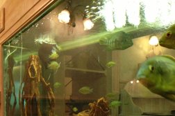 Ресторан Дастархан, с рейтингом 3.1 - находится по адресу Алматы, Шевченко, 75 