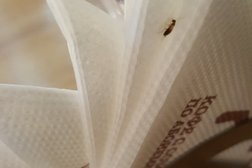 Кафе Шоколадница, с рейтингом 2.8 - находится по адресу Нижний Новгород, улица Родионова, 187 