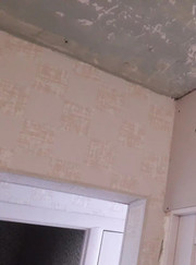 Каменщик, благоустройство территории Владимир Алексеевич Федосеев