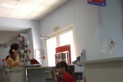 Зоомагазин в Геленджике, с рейтингом 5 - находится по адресу Краснодарский край, Геленджик, Курзальная, 22 