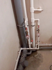 Разнорабочий, сантехник Дмитрий Витальевич Степаненко