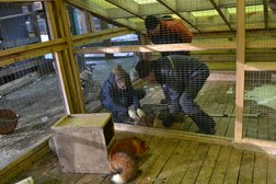 Ветеринарная клиника Курганская областная общественная организация защиты животных, с рейтингом 3 - находится по адресу Курган, улица Криволапова, 24а 