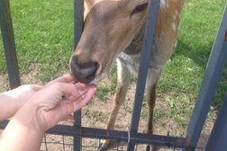 Парк-отель Орловский, с рейтингом 4 - находится по адресу Московская область, д. Орлово, Орловский проезд, 12 