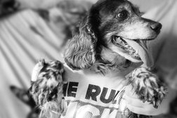 Ветеринарная клиника Альба, с рейтингом 2.7 - находится по адресу Владивосток, проспект Красного Знамени, 91 