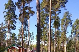 Турбаза Никоново, с рейтингом 4.2 - находится по адресу Пенза, улица Гагарина, 7Б 