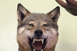 Музейный центр, с рейтингом 3.5 - находится по адресу Республика Карелия, Сегежа, улица Мира, 16 