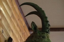 Кафе Орлиный приют, с рейтингом 3.2 - находится по адресу Алматы, Алма-Арасан, 12 