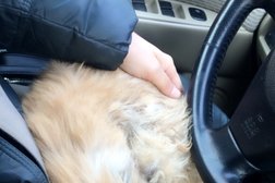 Ветеринарная клиника У лукоморья, с рейтингом 3.3 - находится по адресу Алматы, микрорайон Таугуль-3, улица Сураншы Сауранбаева, 1А 