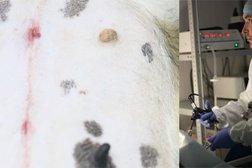 Ветеринарная клиника Бим, с рейтингом 3 - находится по адресу Удмуртская Республика, Ижевск, Авангардная улица, 11 