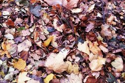 Салон навигационного оборудования Карманник.ком, с рейтингом 3.8 - находится по адресу Калининград, набережная Адмирала Трибуца, 37 