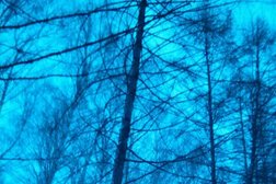 Рынок Часовой, с рейтингом 4 - находится по адресу Республика Татарстан, Чистополь, улица Энгельса, 100д 