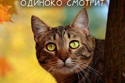 Мои документы, с рейтингом 4 - находится по адресу Самара, улица Урицкого, 2/1 