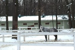 Конноспортивный клуб Ахиллес, с рейтингом 2.9 - находится по адресу Москва, 1-я Останкинская улица, 7а ст38 