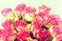 Оптово-розничная компания по продаже и установке автосвета, автозвука, автосигнализаций и тонировки АвтоАзарт, с рейтингом 3.2 - находится по адресу Красноярск, Северная улица, 10 