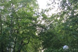 Санаторий Кисегач, с рейтингом 3.3 - находится по адресу Челябинская область, Чебаркуль, Южный берег озера Кисегач, Кисегач 
