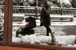 Отель Alean Family Sputnik, с рейтингом 4.5 - находится по адресу Сочи, Новороссийское шоссе, 17/4 