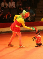 Дрессировщик, организатор мероприятий собака Веселая