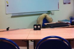 Школа иностранных языков Head Made, с рейтингом 4.3 - находится по адресу Краснодар, Рождественская набережная, 4 