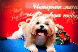 Груминг-салон Monpapillon, с рейтингом 5 - находится по адресу Московская область, Люберцы, улица 3-е Почтовое отделение, 98 