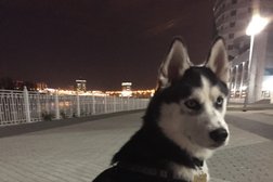 Жилой комплекс Адмирал, с рейтингом 5 - находится по адресу Краснодар, Кубанская Набережная, 39 лит4 стр 
