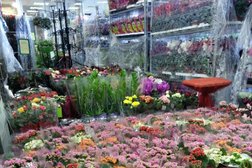 Садовый центр Зеленый остров, с рейтингом 3.5 - находится по адресу Магнитогорск, улица Труда, 39Б 