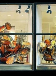 Фотограф, веб-дизайнер Ринат Файзулин