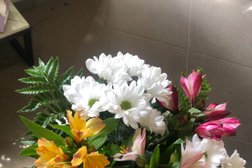 Садовый центр Голандский дворик, с рейтингом 5 - находится по адресу Новгородская область, Боровичи, Сушанская улица, 6Б 