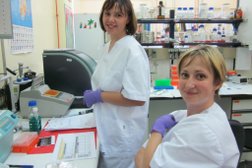 Мордовская республиканская ветеринарная лаборатория, с рейтингом 1 - находится по адресу Республика Мордовия, Саранск, Пролетарская улица, 139 