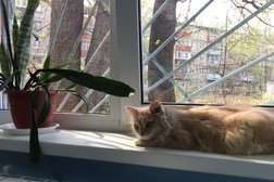 Отдел Приволжского района Государственное ветеринарное объединение г. Казани, с рейтингом 2.5 - находится по адресу Республика Татарстан, Казань, Даурская улица, 32а 