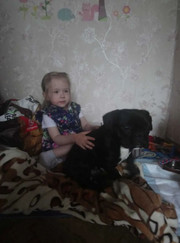 Артист цирка, зоопсихолог Владимир Николаевич Заец