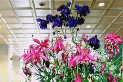 Санаторий Белые ночи, с рейтингом 3.6 - находится по адресу Санкт-Петербург, Приморское шоссе 38 км, 2 лит А 