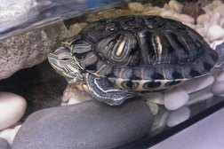 Турагентство Мандарин, с рейтингом 2 - находится по адресу Рязань, Почтовая улица, 58 