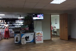 Ветеринарная клиника В мире животных, с рейтингом 4.2 - находится по адресу Московская область, Подольск, Ленинградская улица, 10 