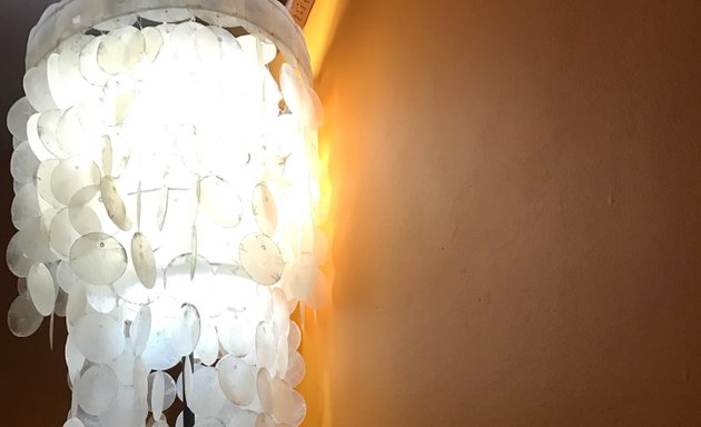 Қоғамдық орындарда жалаңаш кискалар