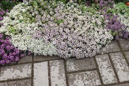 Храм Ильи Пророка, с рейтингом 5 - находится по адресу Республика Татарстан, с. Ильинское, Школьная улица, 20а 