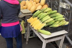 Гипермаркет товаров для дома Зелёный остров, с рейтингом 2.9 - находится по адресу Владивосток, улица Калинина, 275а 