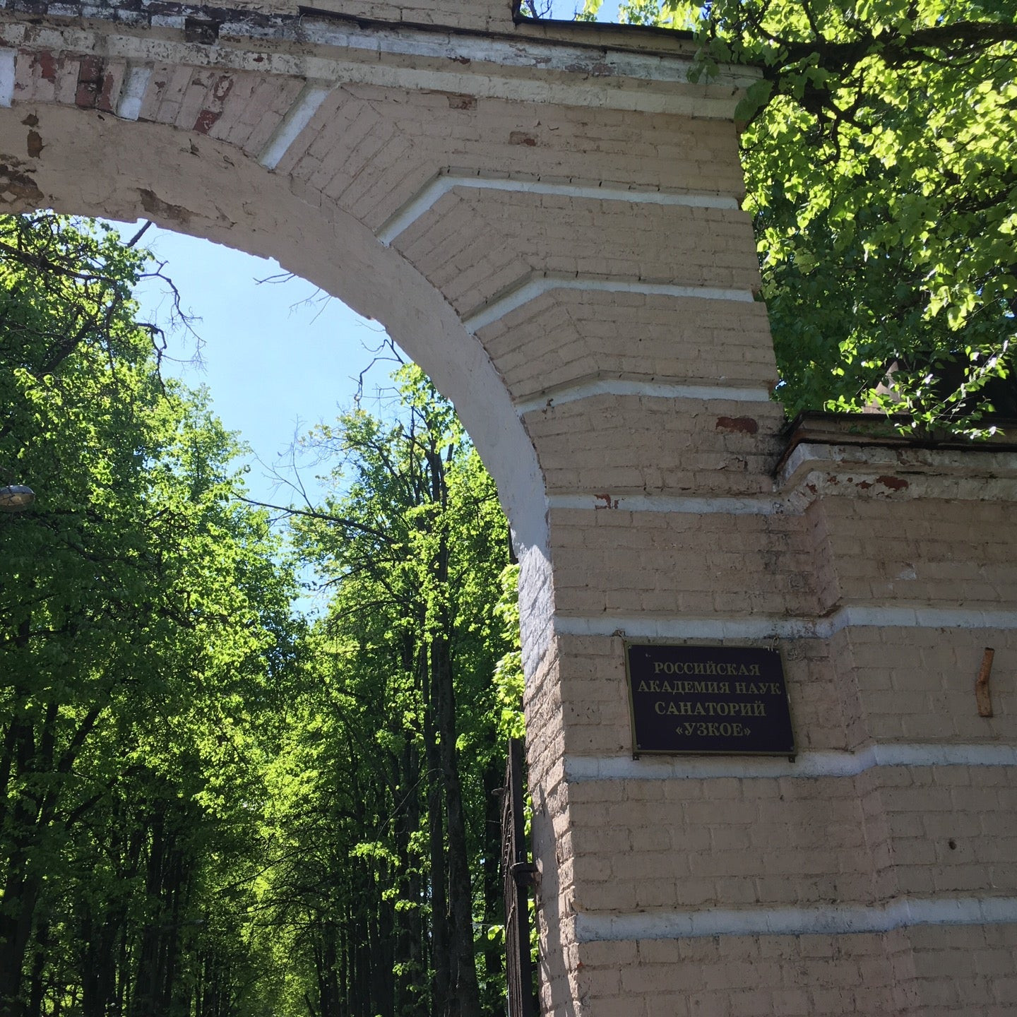 Санаторий узкое ясенево. Санаторий узкое ясенево. Усадьба узкое битцевский лес. Санатории ясенево. Санаторий ясенево.
