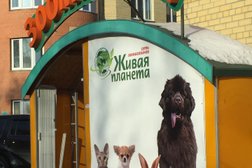 Ветеринарная клиника Живая планета, с рейтингом 2.2 - находится по адресу Тюмень, улица Свердлова, 5 к2 