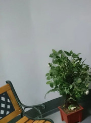 Делопроизводитель, специалист по тендерам Светлана Юрьевна Ульянова