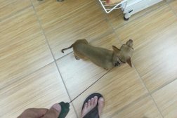 Аквариумный центр, с рейтингом 4.1 - находится по адресу Республика Башкортостан, Уфа, Рихарда Зорге, 10 