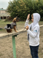 Грумер, дрессировщик Наталья Савинова