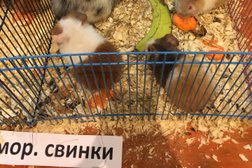 Деловой центр Амбер плаза, с рейтингом 4 - находится по адресу Москва, Краснопролетарская улица, 36 