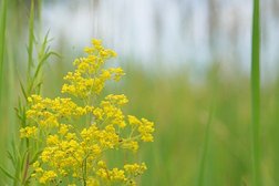 Ландшафтный парк Курган-парк, с рейтингом 4.5 - находится по адресу Курган, микрорайон 6а, 25/4 