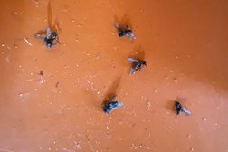 Агротуристический комплекс Славная Вотчина, с рейтингом 3.2 - находится по адресу Нижегородская область, с. Большое Мокрое, Родниковая улица, 3 