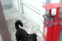 Супермаркет Магнит, с рейтингом 4.3 - находится по адресу Ростов-на-Дону, улица 1-я линия, 17 