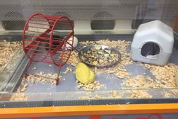 Зоомагазин Четыре лапы, с рейтингом 4.5 - находится по адресу Москва, Шоссейная улица, 1/2 к4 