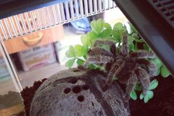 Владивостокский морской рыбный порт, с рейтингом 4.3 - находится по адресу Владивосток, Берёзовая улица, 25 